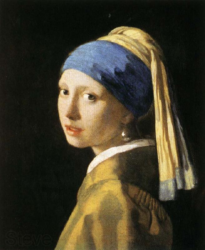 Jan Vermeer Head of a Young Woman Spain oil painting art